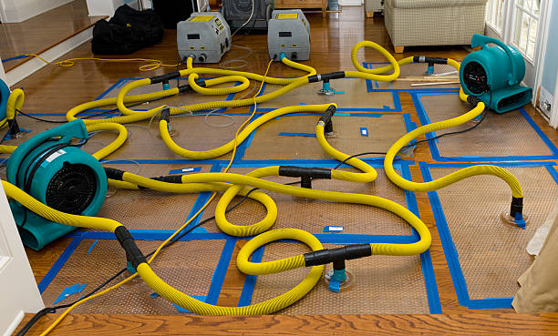 Professional Water Extraction technician working in Columbia, MO